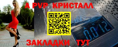 крисы Гай