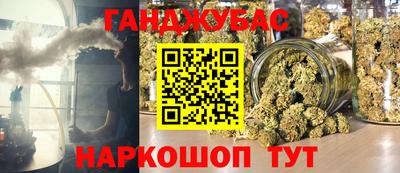 амф Гатчина