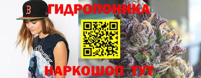 амф Гатчина