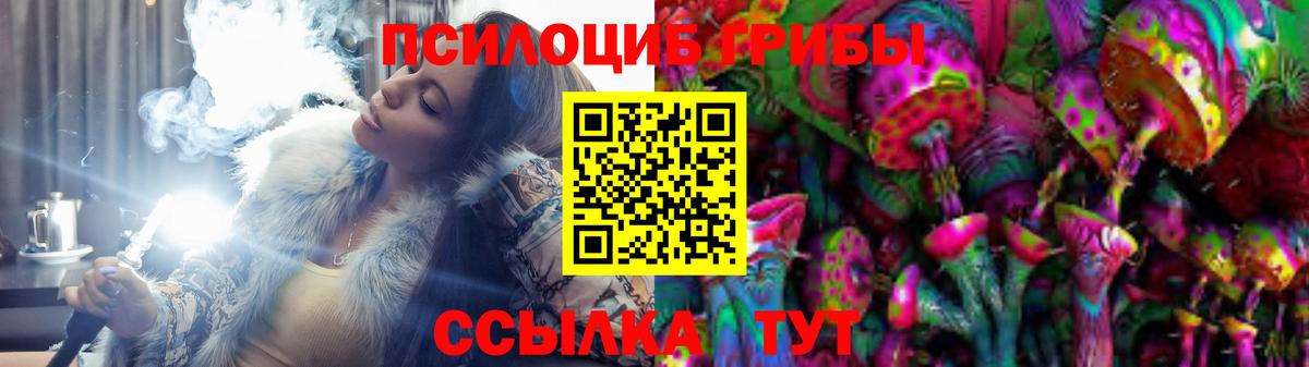 Норильск  Псилоцибиновые грибы мухоморы  Вход с VPN 
